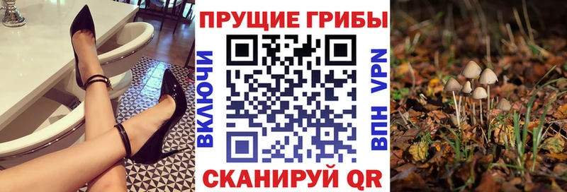 Галлюциногенные грибы Cubensis  Отрадное 